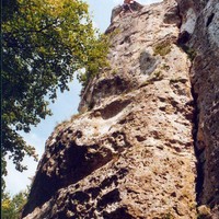 Jmi sort Catburry (les Rives)
