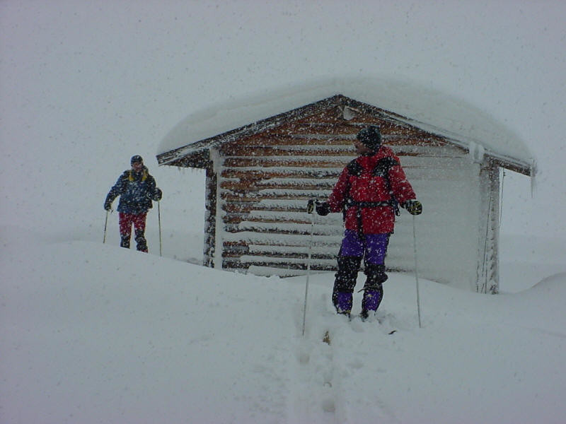 Nevica