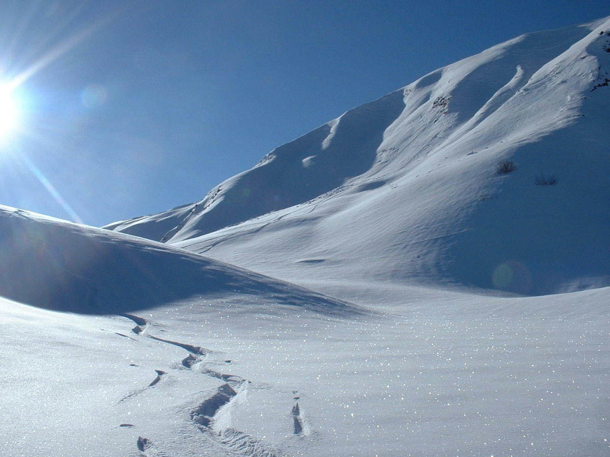 Pentes N de la Croix de l'hiver