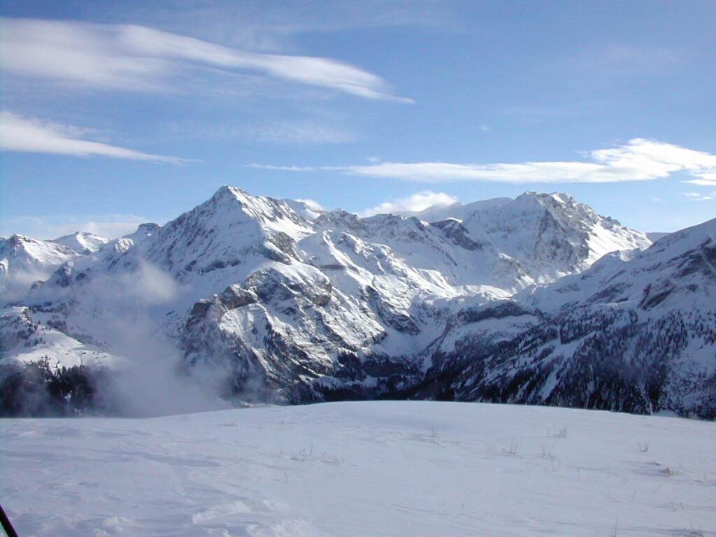 Vue sur les Diablerets du Walighürli