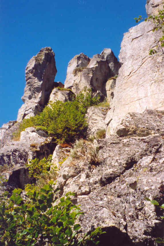 Le boucher (Fay sur Lignon)