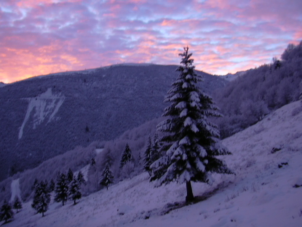 De la neige faiche et du joli ciel 1/2