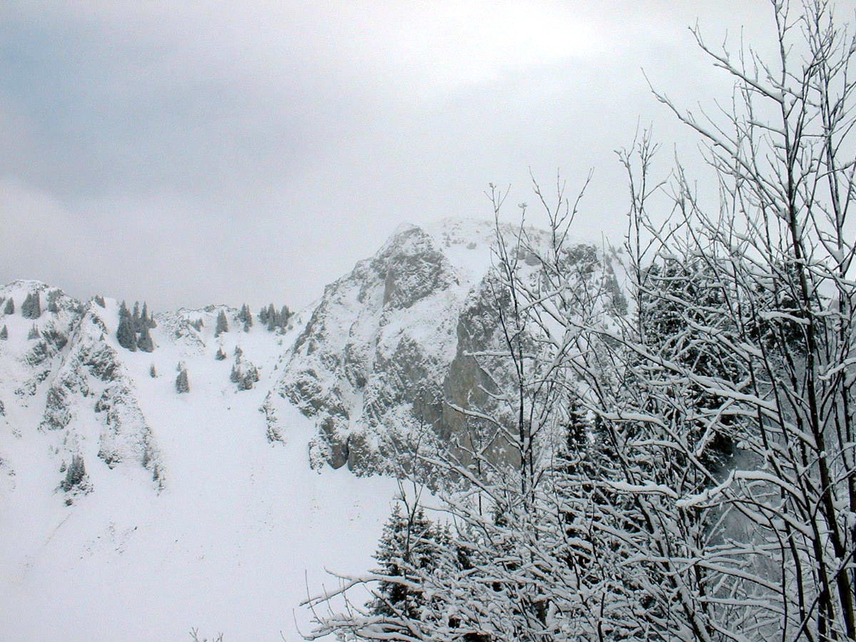Face N de la pointe de Bellevue (2042m)