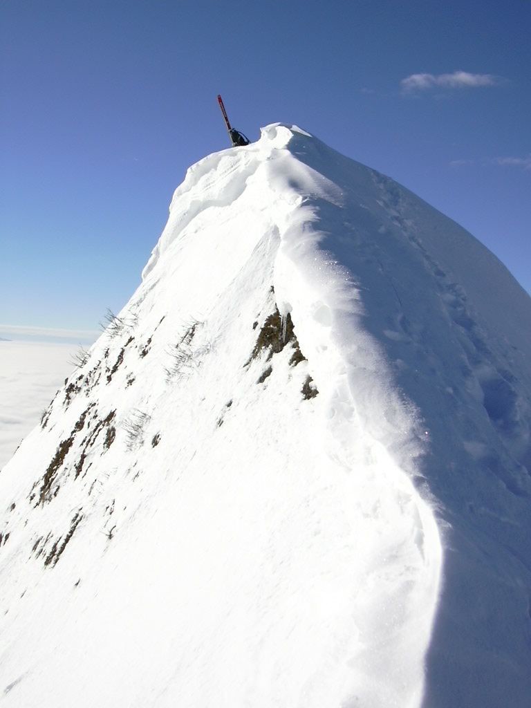 Sommet de la Pointe des Arlicots