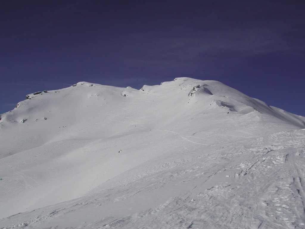 Tallihorn