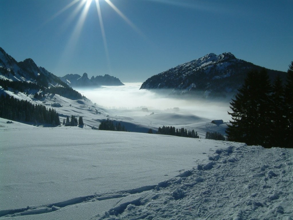Plateau des glières