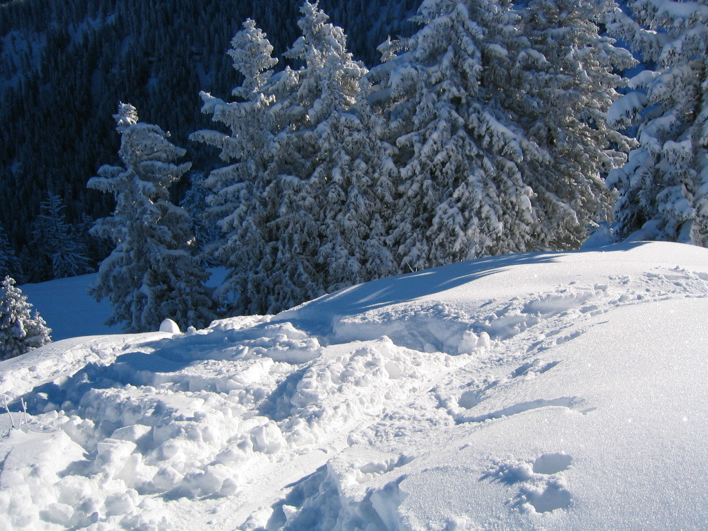 Premiers virages de la descente