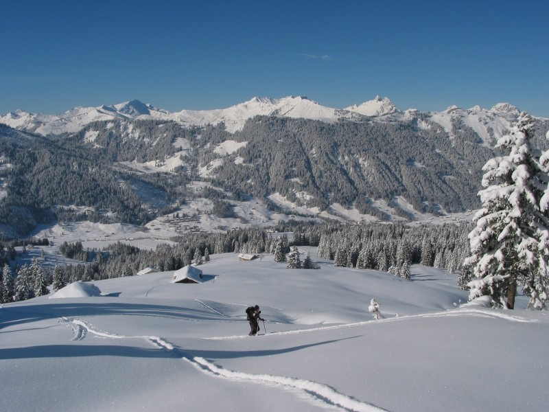 Trüttlisberg