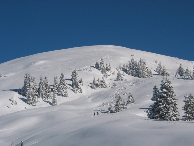 Trüttlisberg