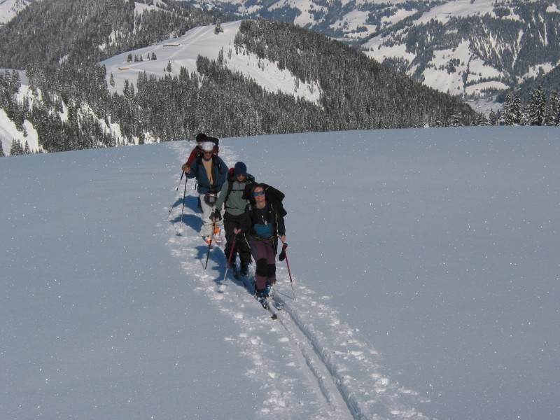 Walliser Wispile