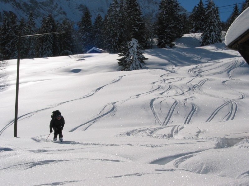 Walliser Wispile