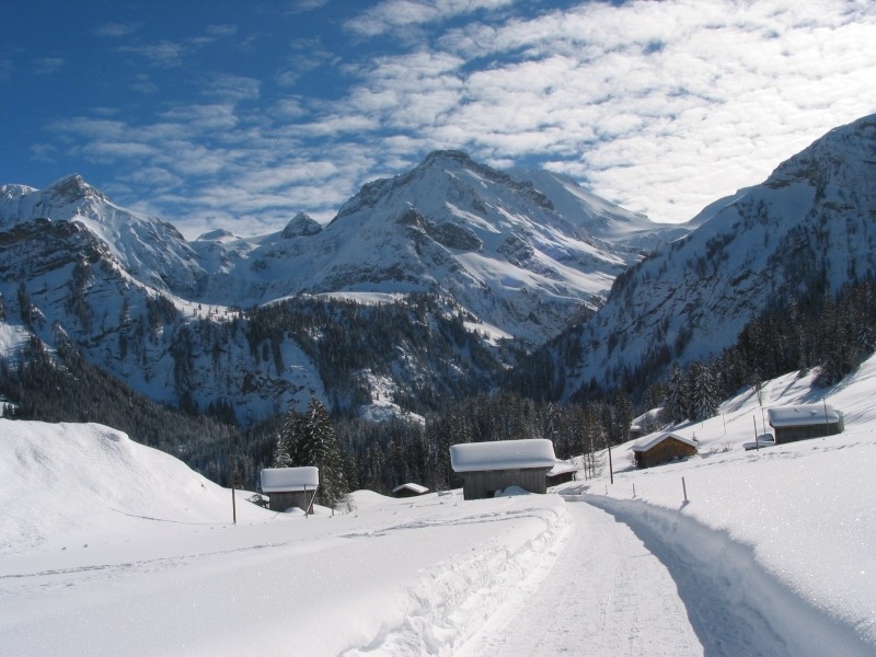 Walliser Wispile