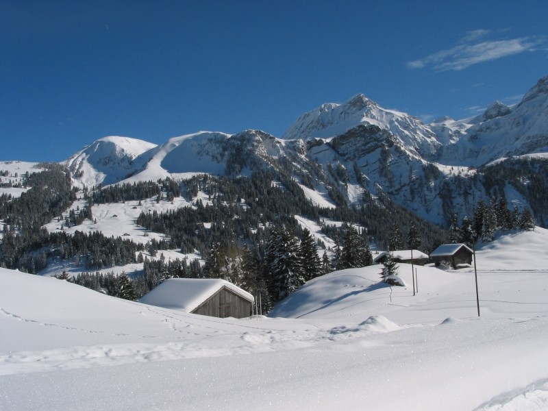 Walliser Wispile