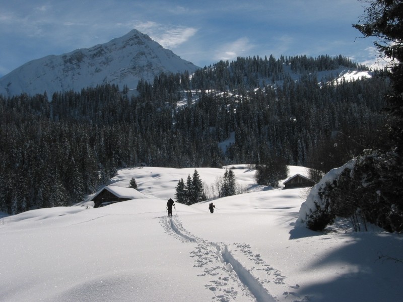 Walliser Wispile