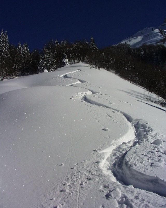 Descente du col de la buffaz