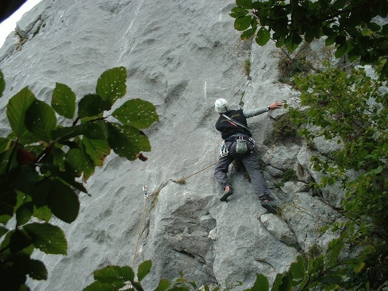Dalle - 6b+