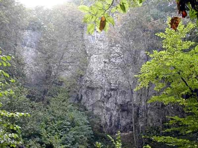 rebeuville vosges falaise du bois de l'enfer 1 rebeuville vosges falaise du bois de l'enfer 1