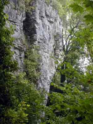 rebeuville vosges falaise du bois de l"enfer 3 rebeuville vosges falaise du bois de l"enfer 3