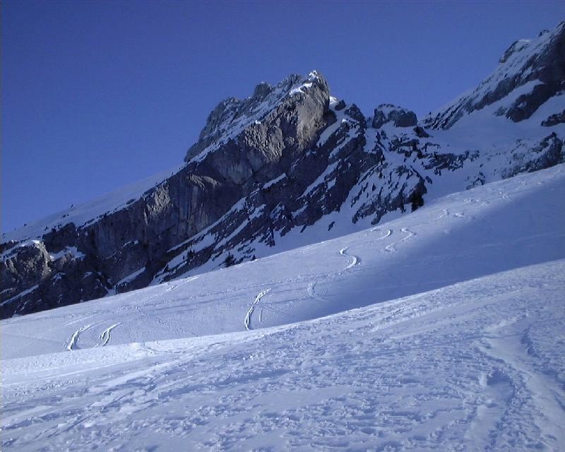 Les aiguilles Noires