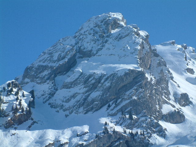 Vue générale du Paré de Joux