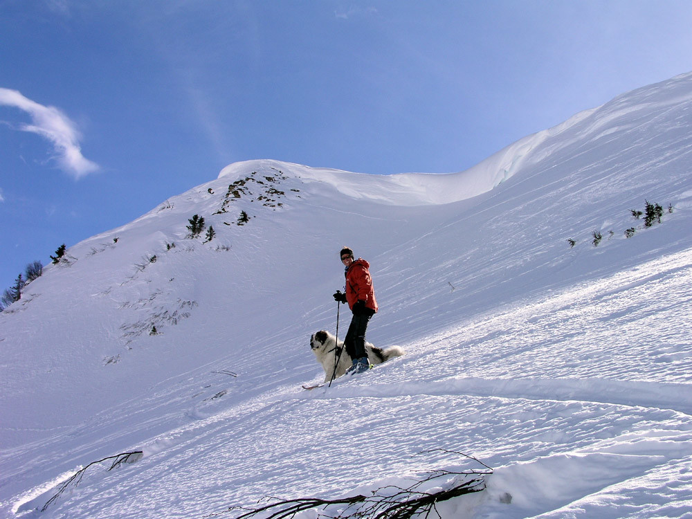 La tête d'Aufferand