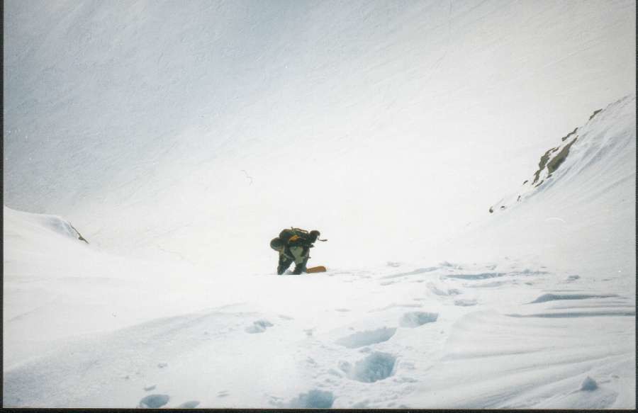 Depart de couloir, pointe de verts