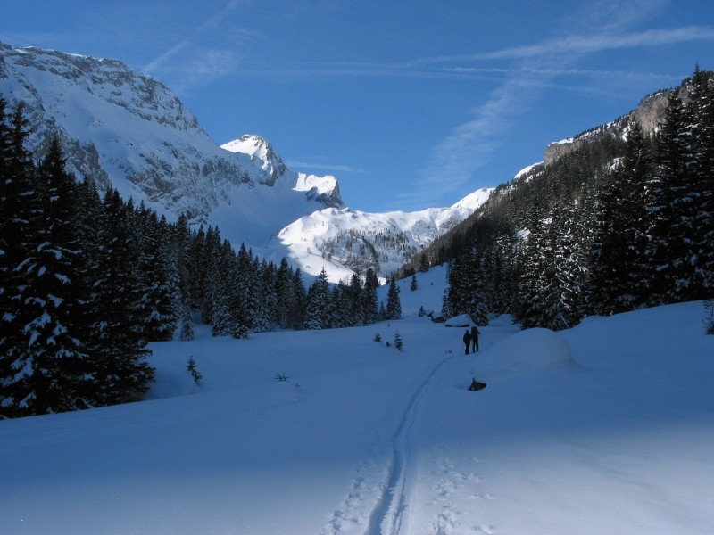 Wildhorn