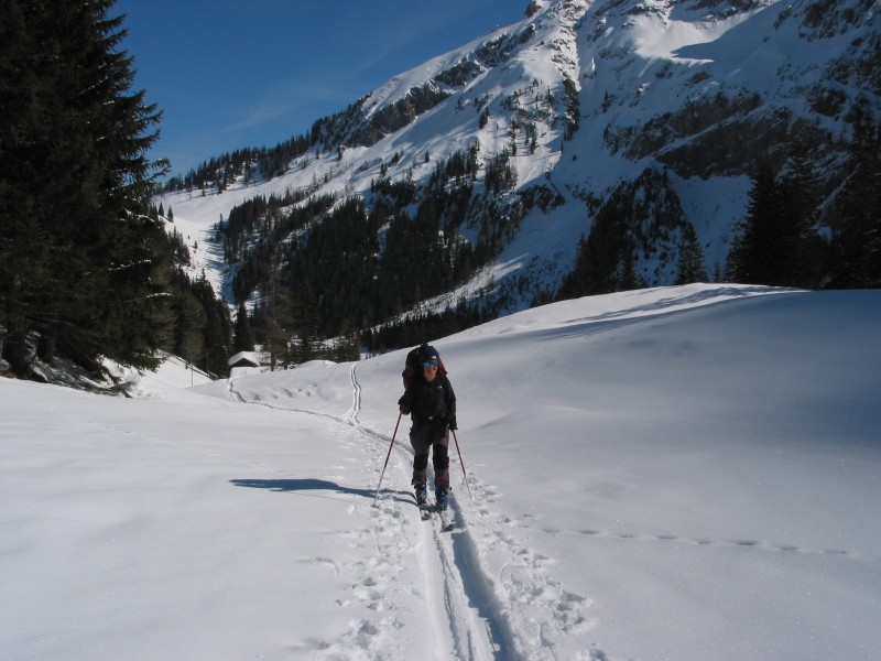Wildhorn