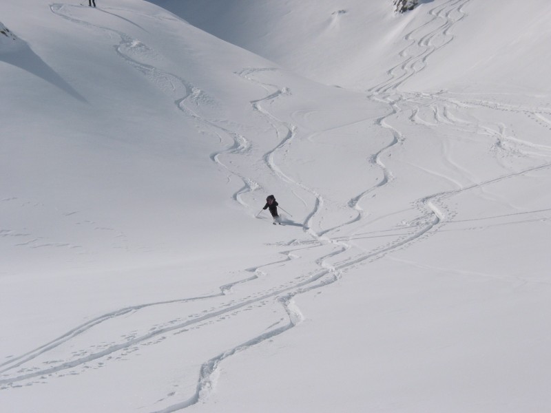 Wildhorn