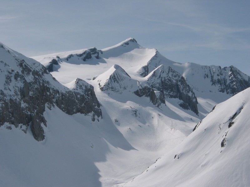 Wildhorn