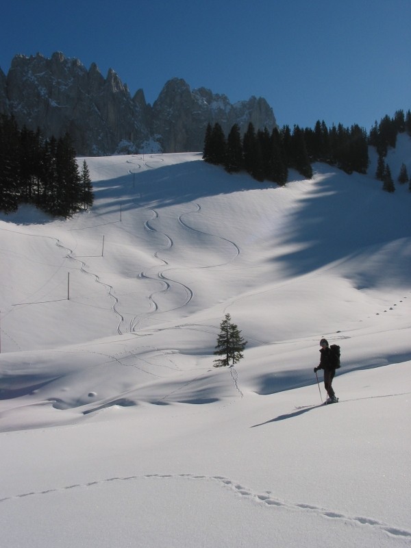 Maude devant les Sattelspitzen