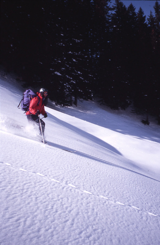 Telemark dans la poudre