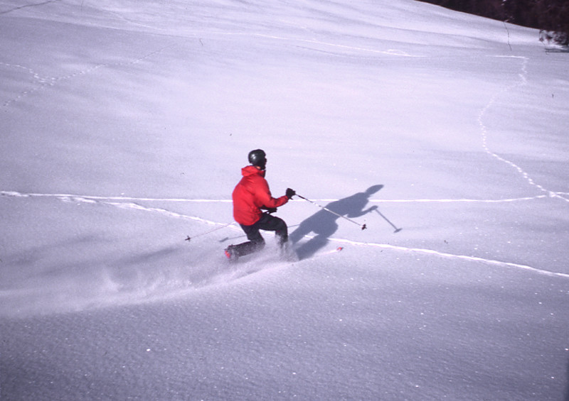Telemark dans la poudre bis