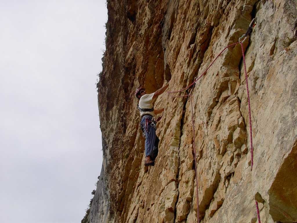 Dans l'hirondelle des faubourgs