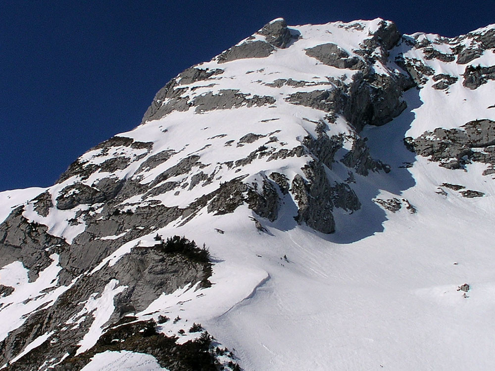 l'Arcalod