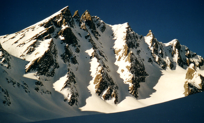 Grand Golliat