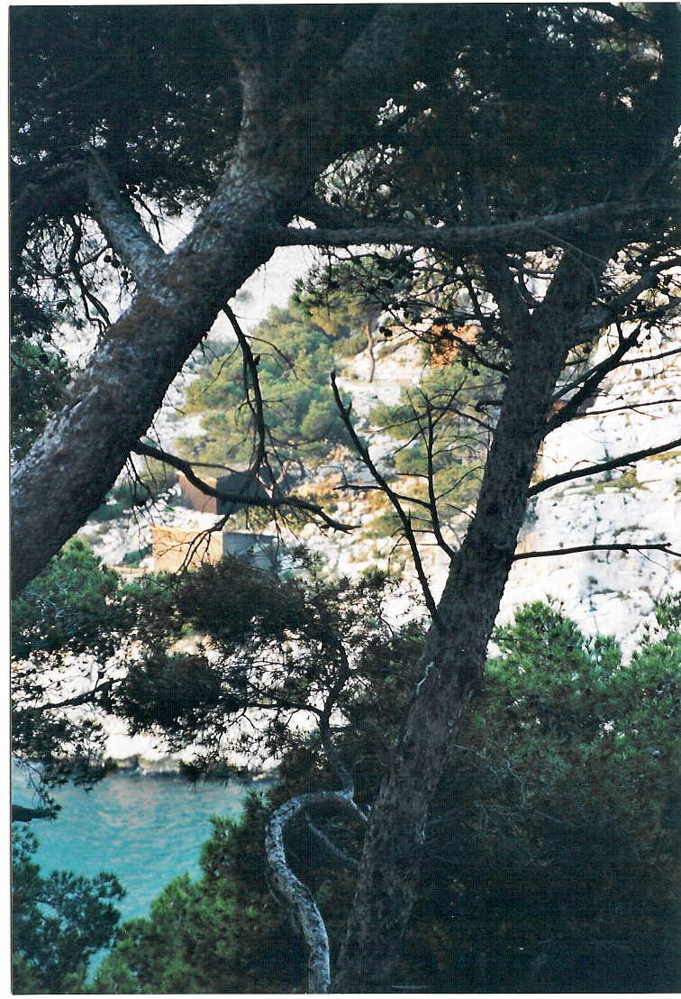 Morgiou au matin