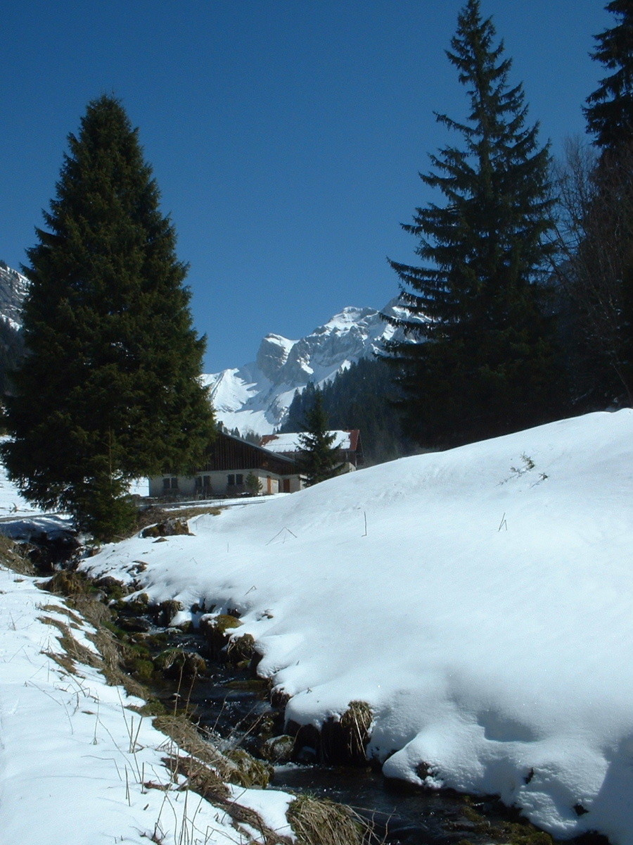 Montée aux chalets de Bise