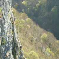 Vertige Fantaisie