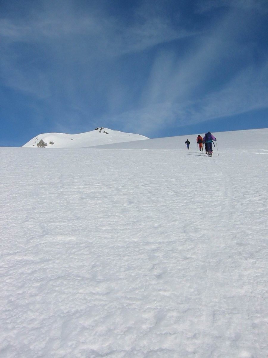 Wildhorn