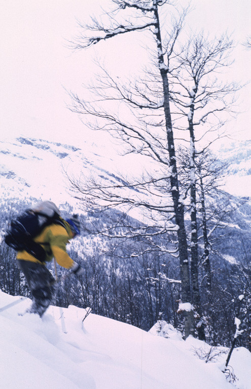 Dans la forêt, Ben en action
