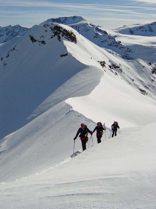 Verso il Pizzo Tresero