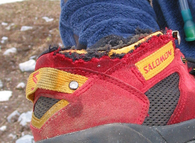 les marmottes aiment les Salomon !