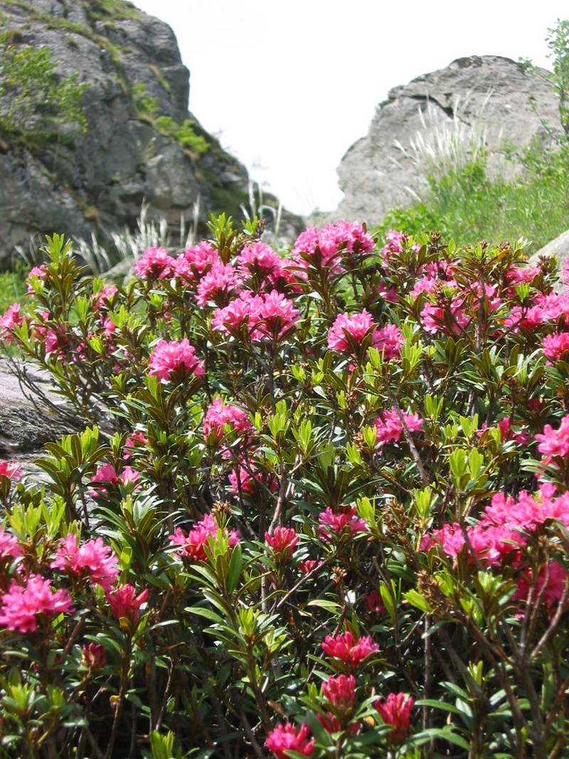 Ahhhhh, le printemps!
