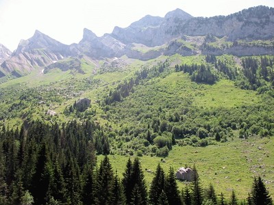 le site le site
