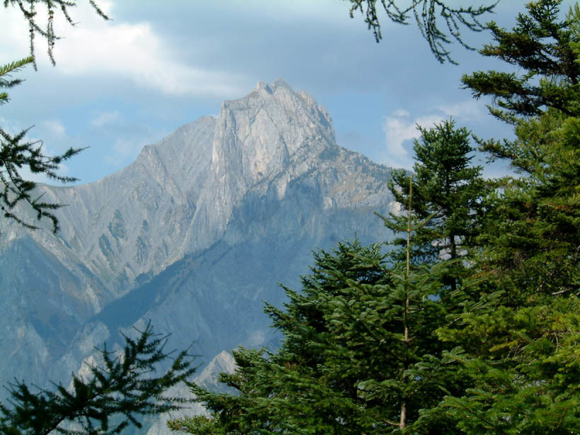 Les alpes, MONTRICHER