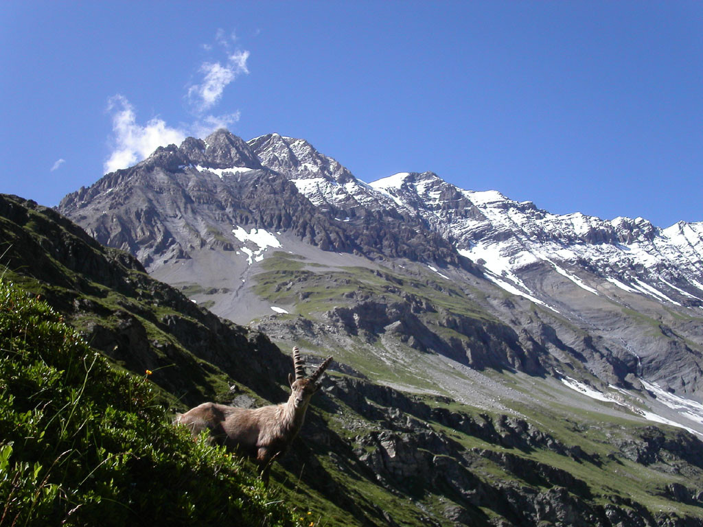 la grande casse