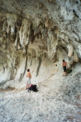 Grotte des branches Grotte des branches