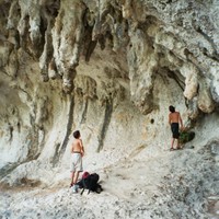 Grotte des branches