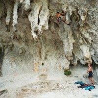 Grotte des branches